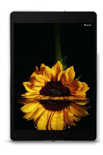 Amoled Wallpapers - عکس برنامه موبایلی اندروید