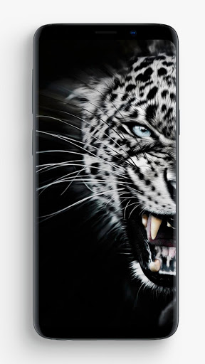 Super AMOLED Wallpapers 4K Lock Screen APK 101 for Android  Download  Super AMOLED Wallpapers 4K Lock Screen APK Latest Version from APKFabcom