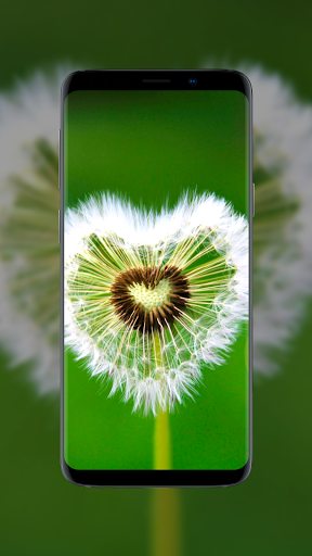 Flower Wallpapers - Flowrify - Image screenshot of android app