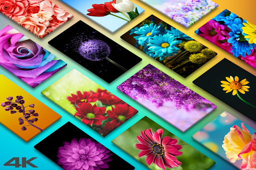Flower Wallpapers - Flowrify - عکس برنامه موبایلی اندروید