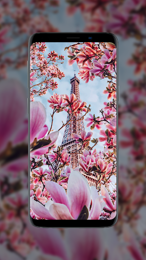 Flower Wallpapers - Flowrify - Image screenshot of android app