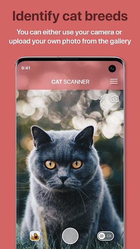 Cat Scanner: Breed Recognition - عکس برنامه موبایلی اندروید