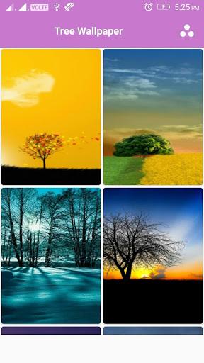 Tree Wallpaper - Image screenshot of android app