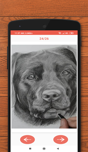 How to Draw Animals - Image screenshot of android app