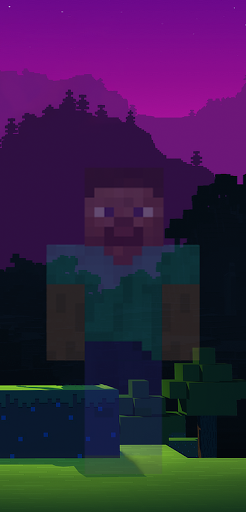 invisible Minecraft Skin - Image screenshot of android app
