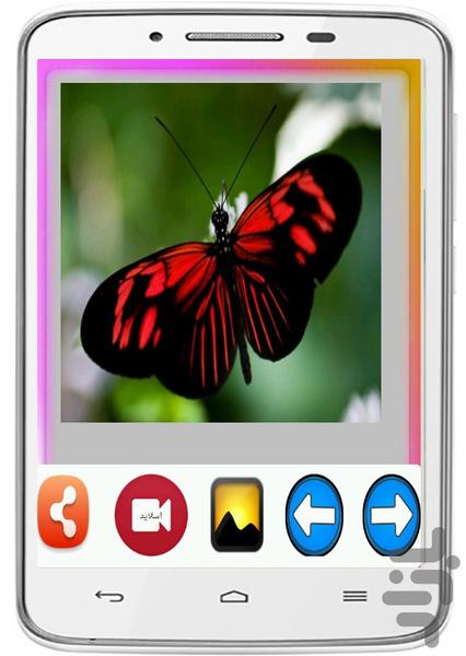والپیپرهای پروانه - عکس برنامه موبایلی اندروید