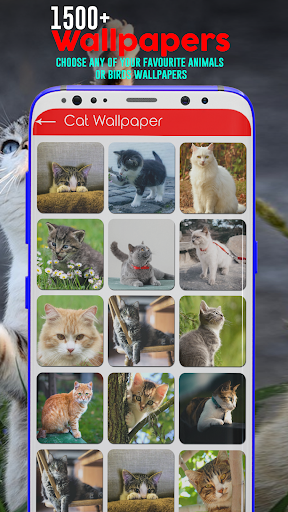 Animal Ringtones - Image screenshot of android app
