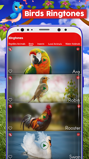 Animal Ringtones & Wallpapers - عکس برنامه موبایلی اندروید