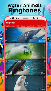 Animals & Birds Ringtones for Android - Download | Cafe Bazaar Animals & Birds Ringtones for Android - Download | Cafe Bazaar