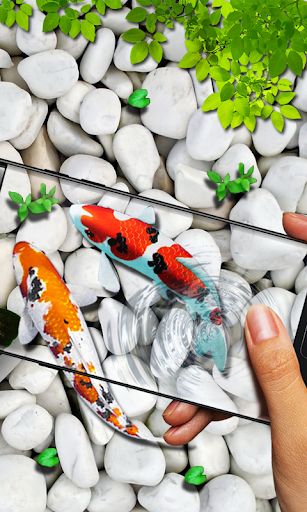 Fish Live wallpaper 2019: 3D Aquarium Koi Pond - Image screenshot of android app