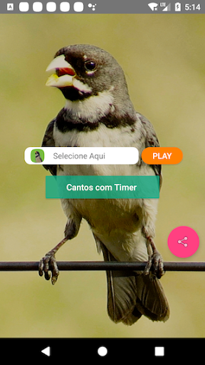 Coleiro Fibra Campeão - Image screenshot of android app