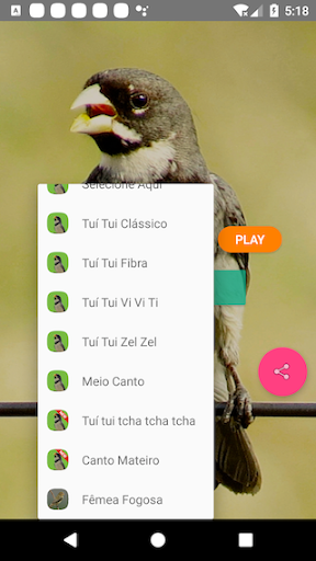 Coleiro Fibra Campeão - Image screenshot of android app