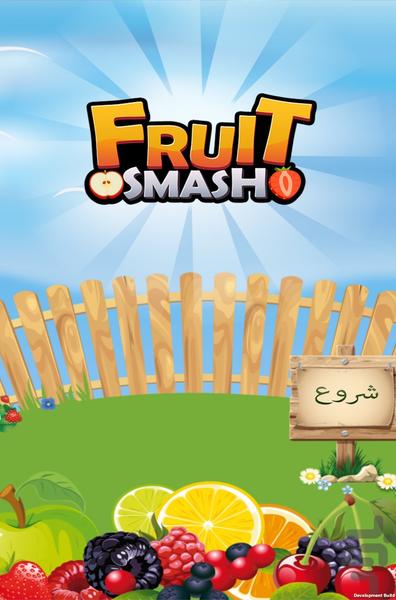 Fruit Smash - Gameplay image of android game