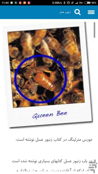 شگفتیها و دانستنیها - عکس برنامه موبایلی اندروید