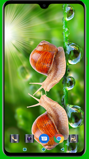 Snail Wallpaper - Image screenshot of android app