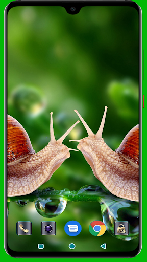 Snail Wallpaper - Image screenshot of android app