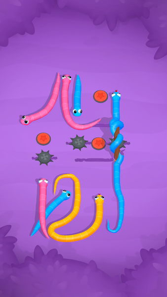 Snake Knot: Sort Puzzle Game - Gameplay image of android game