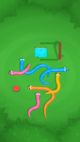 Snake Knot: Sort Puzzle Game - Gameplay image of android game
