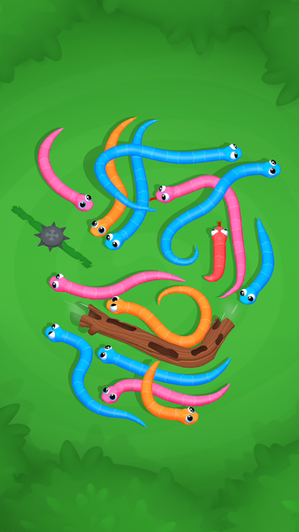 Snake Knot: Sort Puzzle Game - Gameplay image of android game