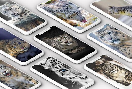 Snow Leopard Wallpaper - Image screenshot of android app