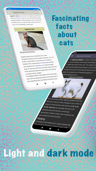 Cat breeds - Smart Identifier - عکس برنامه موبایلی اندروید