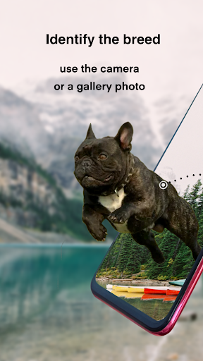 Dog breeds - Smart Identifier - Image screenshot of android app