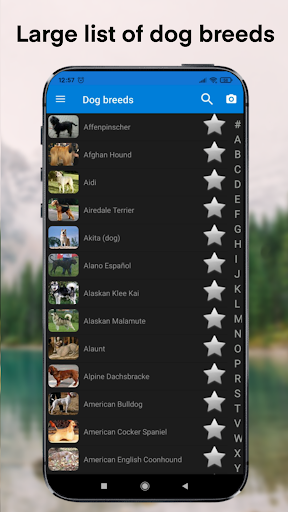 Dog breeds - Smart Identifier - Image screenshot of android app