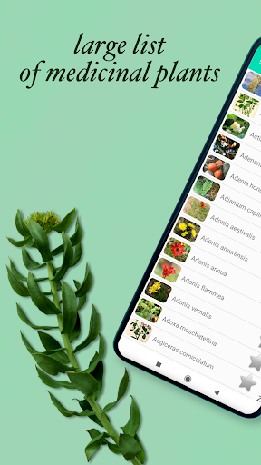 Medicinal Plants & Herbs Guide - Image screenshot of android app