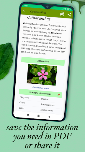 Medicinal Plants & Herbs Guide - عکس برنامه موبایلی اندروید
