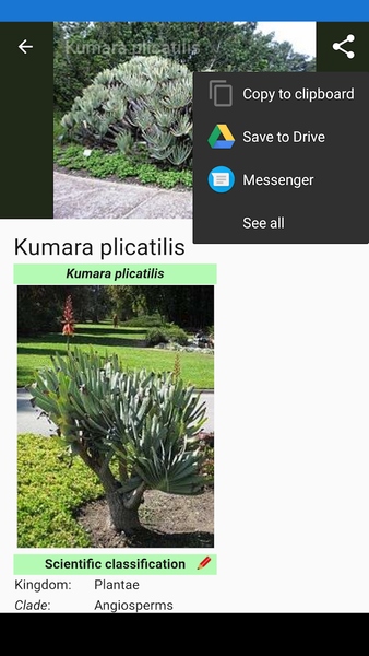 Beautiful Houseplants - Image screenshot of android app