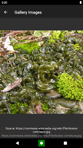 Bacteria: Types, Infections - Image screenshot of android app