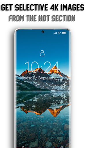 4K Wallpapers - Full HD Backgrounds - Image screenshot of android app