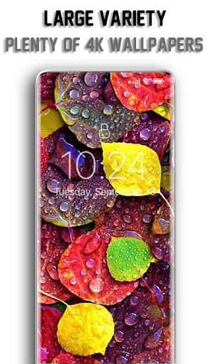 4K Wallpapers - Full HD Backgrounds - Image screenshot of android app