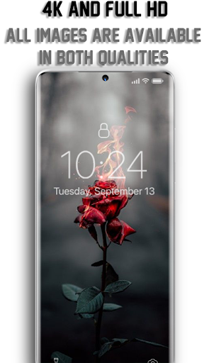 4K Wallpapers - Full HD Backgrounds - Image screenshot of android app