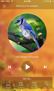 Loud Bird Sounds – Relaxing Bird Chirping for Android - Download | Cafe  Bazaar