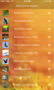 Loud Bird Sounds – Relaxing Bird Chirping for Android - Download | Cafe  Bazaar