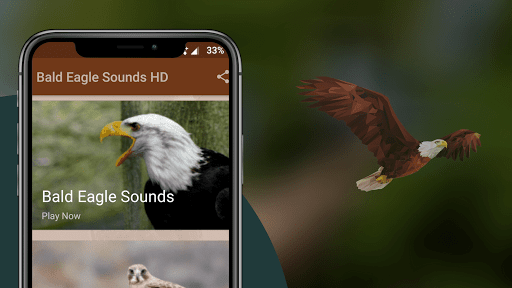 Bald Eagle Sounds - عکس برنامه موبایلی اندروید