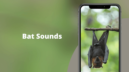 Bat sounds - Bat Noises Screeches and Calls - عکس برنامه موبایلی اندروید