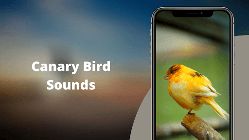 Canary Bird Sounds - عکس برنامه موبایلی اندروید