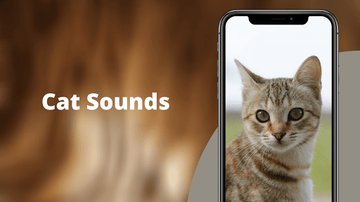 Cat Sounds - Meow Sound - عکس برنامه موبایلی اندروید