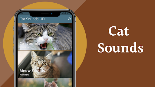 Real Cat Sounds - Aplikasi Microsoft