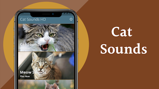 Cat Sounds - Meow Sound - عکس برنامه موبایلی اندروید