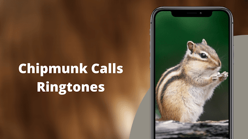 Chipmunk Sounds - عکس برنامه موبایلی اندروید