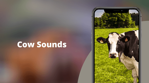 Cow Sounds - عکس برنامه موبایلی اندروید