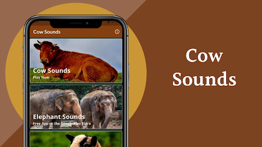 Cow Sounds - عکس برنامه موبایلی اندروید