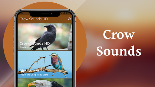 Crow Sounds -Calls & Ringtones - Image screenshot of android app