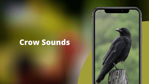 Crow Sounds -Calls & Ringtones - Image screenshot of android app