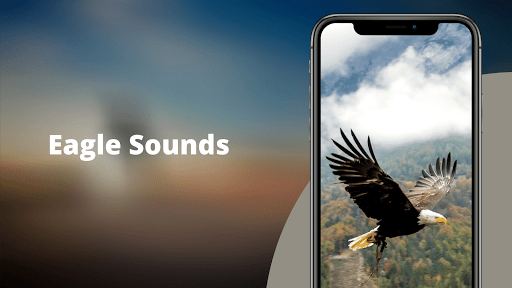 Eagle Sounds - عکس برنامه موبایلی اندروید