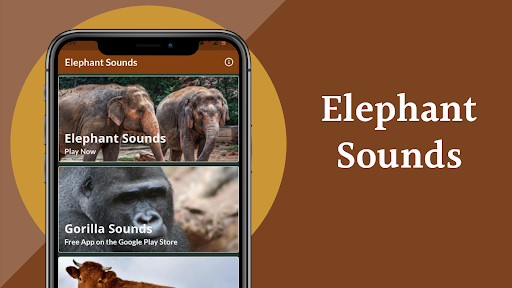 Elephant Sounds - عکس برنامه موبایلی اندروید