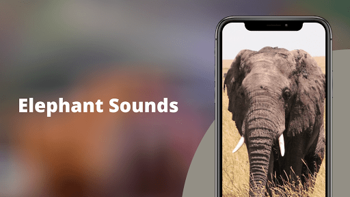 Elephant Sounds - عکس برنامه موبایلی اندروید